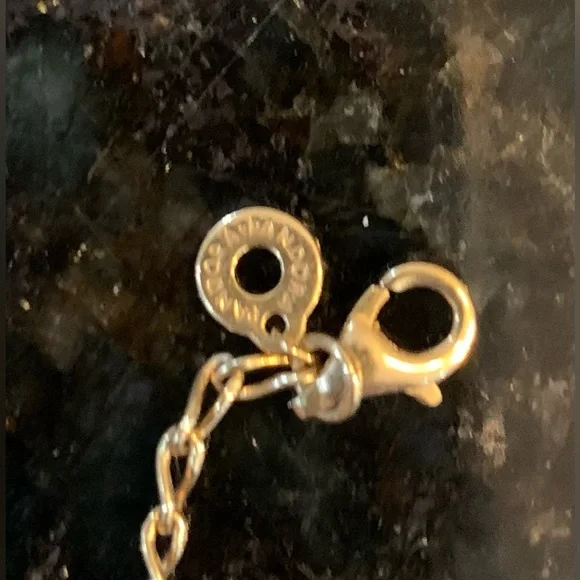 Pandora Infinity Chain Necklace & Pandora Sparkling Monstera Leaf Dangle Charm - Picture 10 of 16